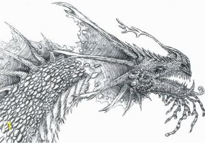 Coloring Pages Of Real Dragons Realistic Dragon Coloring Pages Dragon Coloring Sheets Realistic