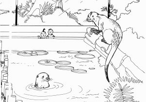 Coloring Pages Of Rivers River4 River Coloring Page 0