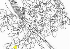 Coloring Pages Of Scissors 125 Best Birds Insects Etc Coloring Pages 2 Images On Pinterest In