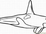 Coloring Pages Of Shamu Shamu Coloring Pages Clipart Best