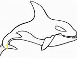 Coloring Pages Of Shamu Shamu Coloring Pages Clipart Best
