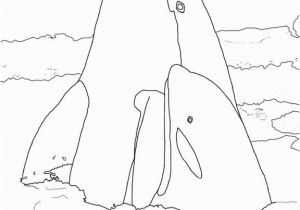 Coloring Pages Of Shamu Shamu Coloring Pages Clipartsco Grig3