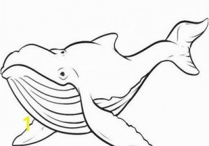 Coloring Pages Of Shamu Shamu Coloring Pages Killer Whales Panda Grig3