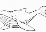 Coloring Pages Of Shamu Shamu Coloring Pages Killer Whales Panda Grig3