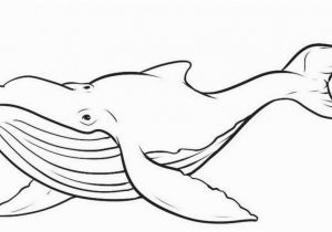 Coloring Pages Of Shamu Shamu Coloring Pages Killer Whales Panda Grig3