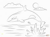 Coloring Pages Of Shamu Shamu Coloring Pages thekindproject