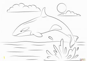 Coloring Pages Of Shamu Shamu Coloring Pages thekindproject