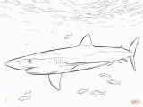 Coloring Pages Of Sharks Printable Blue Shark with Pilot Fishes Coloring Page From Blue Sharks