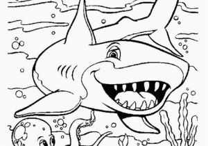 Coloring Pages Of Sharks Printable Lovely Coloring Pages Shark Easy Picolour