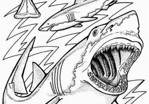 Coloring Pages Of Sharks Printable Print Coloring Image Momjunction