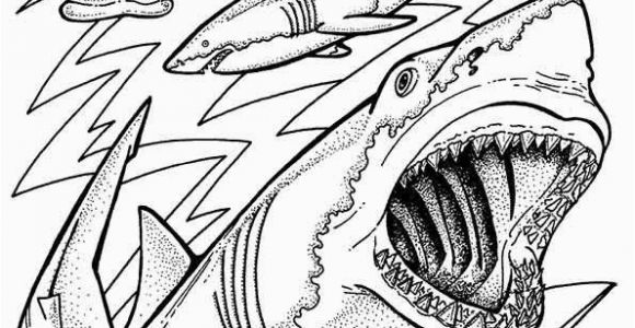 Coloring Pages Of Sharks Printable Print Coloring Image Momjunction