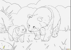 Coloring Pages Of Stuffed Animals 20 Nice Ty Stuffed Animals Coloring Pages