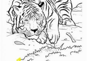 Coloring Pages Of Tiger Cubs Mama and Baby Tiger Coloring Page Printables Pinterest