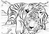 Coloring Pages Of Tiger Cubs Tiger Sleeping Lions and Tigers Pinterest