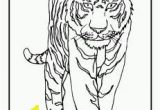 Coloring Pages Of Tiger Cubs Zoo Coloring Pages for Preschoolers