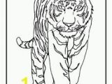 Coloring Pages Of Tiger Cubs Zoo Coloring Pages for Preschoolers