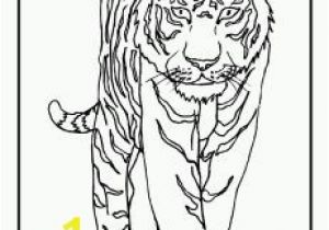 Coloring Pages Of Tiger Cubs Zoo Coloring Pages for Preschoolers