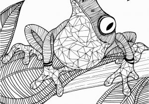 Coloring Pages Of Tree Frogs Frog Adult Colouring Page Colouring In Sheets Art & Craft