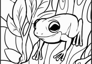 Coloring Pages Of Tree Frogs Frog Coloring Pages Fresh Frog Colouring 0d Free Coloring Pages Kids