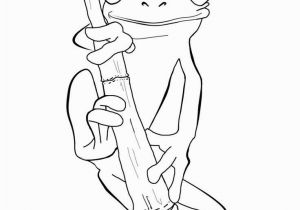 Coloring Pages Of Tree Frogs Image Result for How to Draw A Red Eyed Tree Frog Art