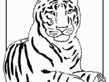 Coloring Pages Of White Tigers Outline A Tiger Az Coloring Pages