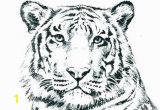 Coloring Pages Of White Tigers Wild Cat Coloring Pages G4674 Realistic Cat Coloring Pages