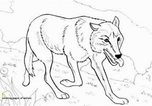 Coloring Pages Of Wolfs Artstudio301