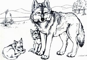 Coloring Pages Of Wolves Printable Free Wolf Coloring Pages for Adults