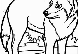 Coloring Pages Of Wolves top 85 Wolf Coloring Pages Free Coloring Page