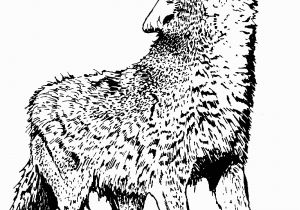 Coloring Pages Of Wolves Wolf Coloring Pages Free Wolf Coloring Pages