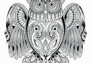 Coloring Pages Owls Printable Owl Coloring Pages Lovely Cool Coloring Page Unique Witch