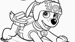 Coloring Pages Paw Patrol Printable 14 Ausmalbild Paw Patrol Skye Paw Patrol Zum Ausmalen