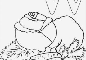 Coloring Pages Pictures Of Vegetables Fascinating Coloring Book Printing Picolour