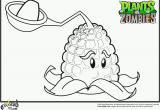 Coloring Pages Plants Vs Zombies 2 Plants Vs Zombies Garden Warfare 2 Coloring Pages