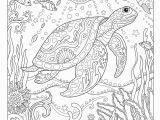 Coloring Pages Under the Sea Amazon Creative Haven Fanciful Sea Life Coloring Book