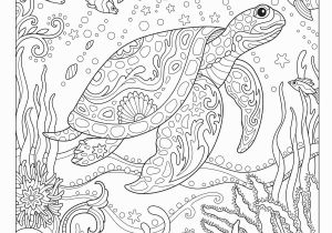 Coloring Pages Under the Sea Amazon Creative Haven Fanciful Sea Life Coloring Book