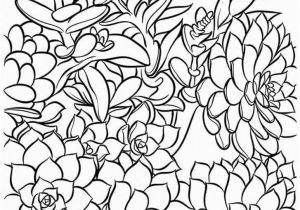 Coloring Pages You Can Print Out Versatile Succulent Cards You Can Print Again and Again