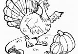 Coloring Turkey Pages for Preschoolers Free Printable Thanksgiving Coloring Pages for Kids