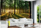 Commercial Wall Murals 46 Best Wall Mural Images