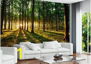 Commercial Wall Murals 46 Best Wall Mural Images