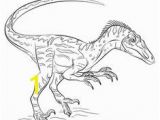 Compsognathus Coloring Page 83 Best Dinosaurs Images On Pinterest In 2018