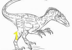 Compsognathus Coloring Page 83 Best Dinosaurs Images On Pinterest In 2018