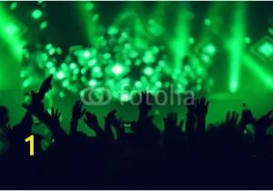 Concert Crowd Wall Mural Stage Lights Concert Scene with Crowd In foreground Stage