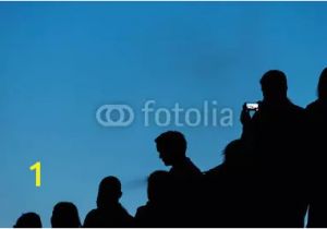 Concert Crowd Wall Mural Stage Lights Concert Scene with Crowd In foreground Stage