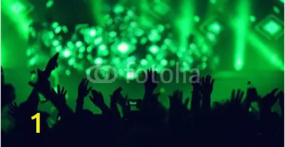 Concert Crowd Wall Mural Stage Lights Concert Scene with Crowd In foreground Stage