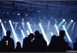 Concert Crowd Wall Mural Stage Lights Concert Scene with Crowd In foreground Wall Mural