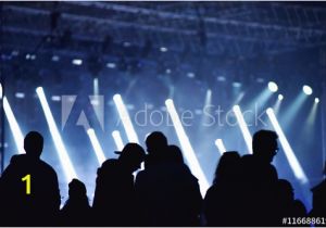 Concert Crowd Wall Mural Stage Lights Concert Scene with Crowd In foreground Wall Mural
