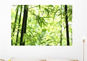 Contemporary Wall Decals Murals Amazon Wallmonkeys Bamboo Wall Mural Peel and Stick