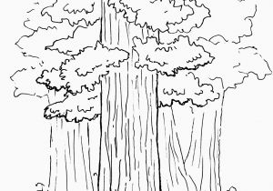 Cool Art Coloring Pages Coloring Art for Kids Beautiful Monet Coloring Pages 10