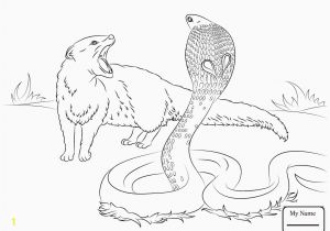 Cool Coloring Pages Of Animals Printable Animal Coloring Pages Awesome Drawing Printables 0d